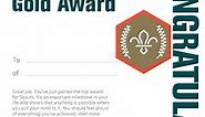 Chief Scout's Gold Award Certificate - Pack of 10 Volunteer Leaders