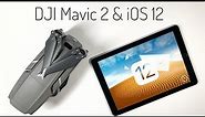 DJI Mavic 2 & iOS 12 Compatibility | H.265 Now Supported
