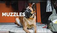 Muzzles - What's the DIFFERENCE?!