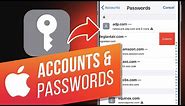 How to See Accounts and Passwords on iPhone | How to View and Edit Passwords Saved with Safari