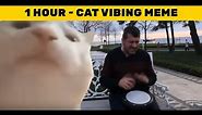 Cat Vibing To Ievan Polkka - 1 HOUR - Cat Vibing Meme 😂 😂 😂