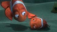 "Reunion" clip - Finding Nemo