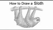 How to Draw a Sloth
