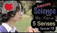 Amazing Science - The 5 Senses. Children learn the five senses. homeschool family