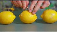 How To Make A Lemon Battery | Johns Hopkins Center for Talented Youth