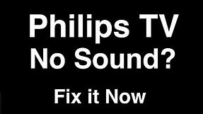 Philips TV No Sound - Fix it Now