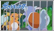 Raichu’s Cutest Moments | Pokémon [HD]