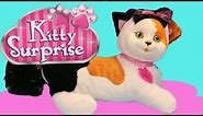 Kitty Surprise Maple Kittens Cat Surprise Toy Review