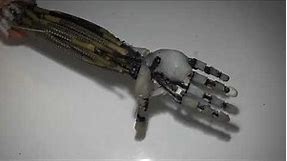 Artificial Muscles Robotic Arm, Real Copy of Human Arm