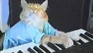 JUST DISCOVERED! - Keyboard Cat's RARE Alternate Take!