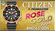 New Textured Dial! | Citizen Promaster Rose Gold 200m Diver BN0163-00H Unbox & Review