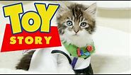 Disney Pixar's Toy Story (Cute Kitten Version)