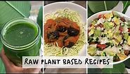 raw plant based what I eat in a day
