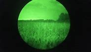 You need to watch this before buying a night vision scope...