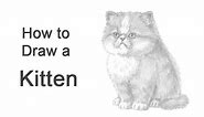 How to Draw a Kitten (Persian)
