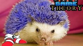 Game Theory: The Science of Sonic the Hedgehog