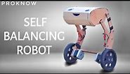 Diy Arduino Based Self Balancing Robot | PROKNOW