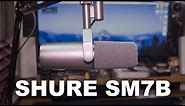 Shure SM7B Mic Review / Test
