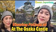 Viewing the Autumn Leaves at Osaka Castle Park