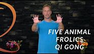 Five Animal Frolics Qi Gong (Tiger Routine) | Qi Gong with Lee Holden