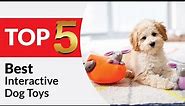 Top 5 Best Interactive Dog Toys in 2024 [Buying Guide]
