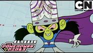 Mr. Mojo's Rising | The Powerpuff Girls Classic | Cartoon Network