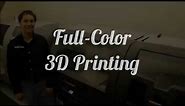 Full Color 3D Printing with Twindom (from a Twinstant Full Body 3D Photo Booth Scan)
