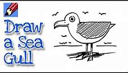 How to draw a Seagull Real Easy | Step by Step with Easy, Spoken Instructions
