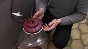 How to filter homebrew wine Using a Harris Filter Vinbrite Filter Kit
