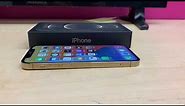 Iphone 12 Pro Oro las Diferencias