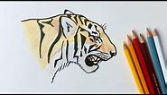 How to draw a tiger roaring