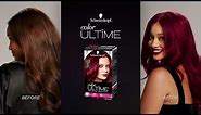 How to Color Your Hair, Step by Step, with Schwarzkopf Color Ultîme