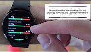 Measure your fat and muscle on the Galaxy Watch!