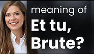 "Et tu, Brute?": Understanding Shakespeare's Famous Phrase