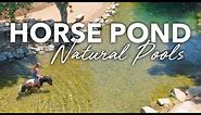 NATURAL POOLS For HORSES - No Chlorine - Aquascape SWIM POND Biological Filtration