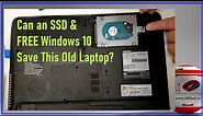 Toshiba Satellite C650D Upgrade Hard Drive to SSD, Install Windows 10 for Free, Benchmark & Review