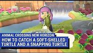 Animal Crossing: New Horizons - How to catch a Soft-shelled Turtle and a Snapping Turtle