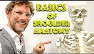 Shoulder Anatomy 101: Bones of the Shoulder - Clinical Skills - Dr Gill