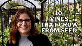 10 Beautiful VINES to grow from SEED