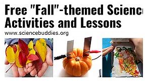 19 Fall Science Activities for Autumn STEM | Science Buddies Blog