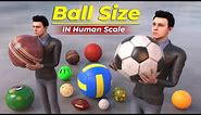 Ball Size Comparison | In Human Scale
