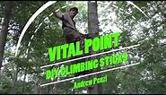 Easy DIY Climbing Sticks - out of wood!!! Vital Point