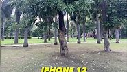 iPhone 12 vs iPhone 13 Camera Test | Camera Comparision #iphone12 #iphone13 #iphone #shorts