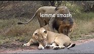BEST OF LEMME SMASH VIDEOS (Compilation) #7 [FINAL?]
