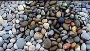 Mexican Beach Pebbles Mixed Colors 2 to 3 inch