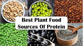 High Protein Vegetables |High Protein Vegetarian Meal |Best Plant Food Sources Of Protein