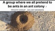 This Facebook Group Pretends To Be Ants