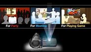 Sony Projector Handycam® Camcorder - External Input (HD)
