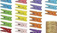 Mini Natural Wooden Clothespins with Jute Twine, 250pcs, 1 Inch Photo Paper Peg Pin Craft Clips with 66ft Natural Twine for Scrapbooking, Arts & Crafts, Hanging Photos (10 Colors)