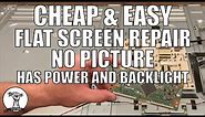Fix A Flat Screen TV With No Picture - Vizio Has Sound and Backlights But No Picture - T Con Board